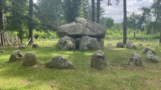 Everstorfer Forst Süd 2 (Dolmen / Quoit / Cromlech)