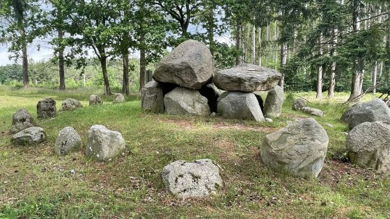 Everstorfer Forst Süd 2 (Dolmen / Quoit / Cromlech)