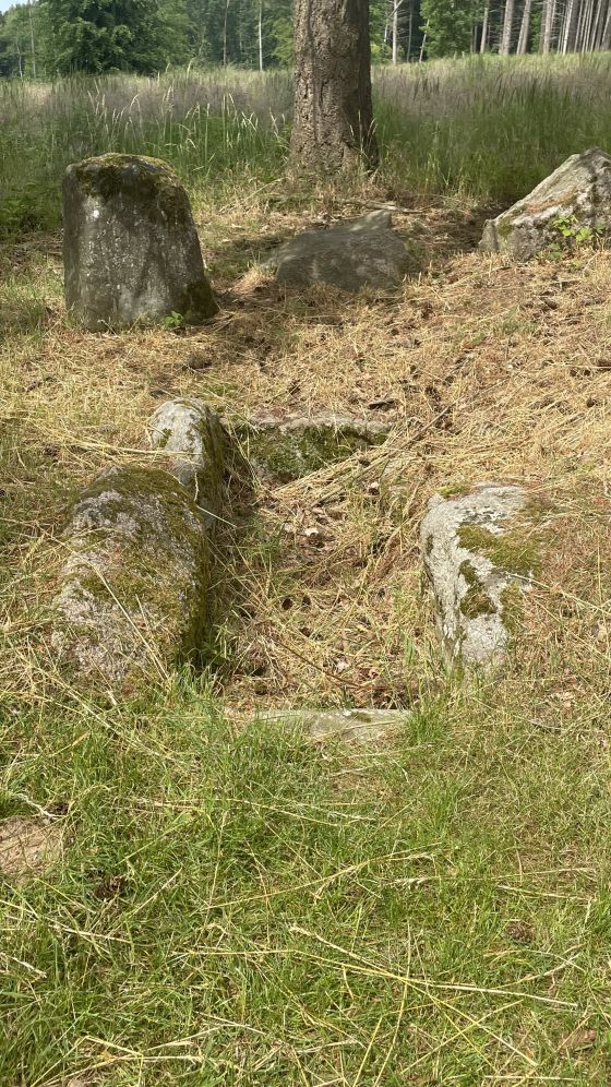 Everstorfer Forst Süd 3 (Dolmen / Quoit / Cromlech)