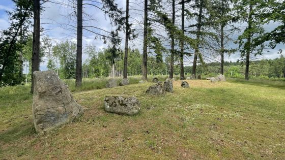Everstorfer Forst Süd 3 (Dolmen / Quoit / Cromlech)