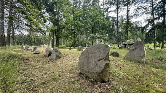 Everstorfer Forst Süd 3 (Dolmen / Quoit / Cromlech)