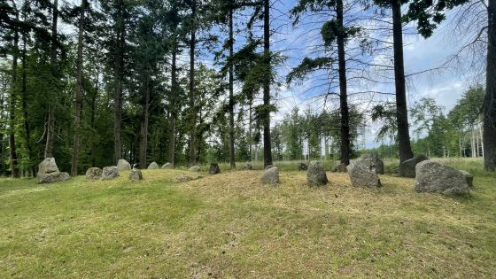 Everstorfer Forst Süd 3 (Dolmen / Quoit / Cromlech)