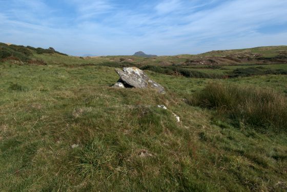 Caer-Dyni (Burial Chamber)