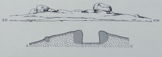 Everstorfer Forst Süd 4 (Passage Grave)