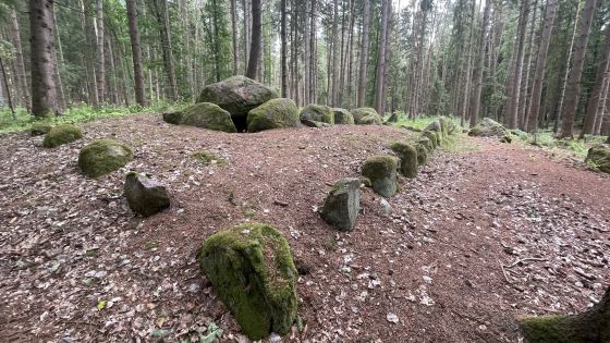 Everstorfer Forst Süd 4 (Passage Grave)