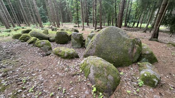 Everstorfer Forst Süd 4 (Passage Grave)