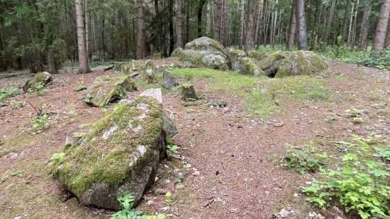 Everstorfer Forst Süd 4 (Passage Grave)