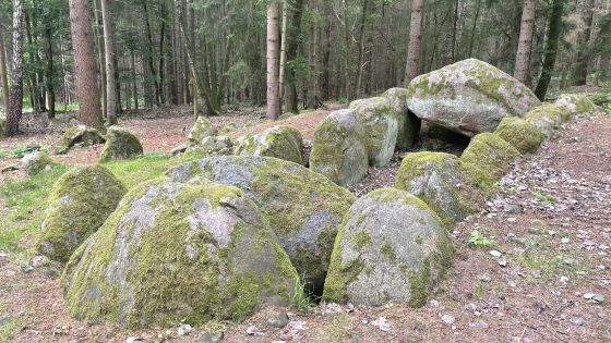 Everstorfer Forst Süd 4 (Passage Grave)