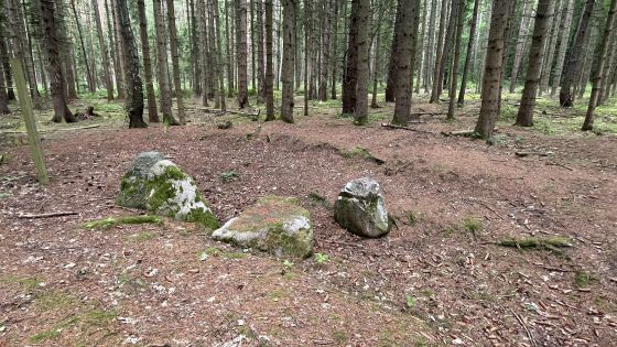 Everstorfer Forst Süd 5 (Dolmen / Quoit / Cromlech)