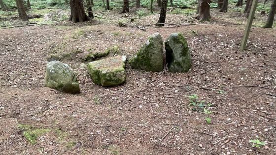 Everstorfer Forst Süd 5 (Dolmen / Quoit / Cromlech)