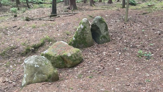 Everstorfer Forst Süd 5 (Dolmen / Quoit / Cromlech)