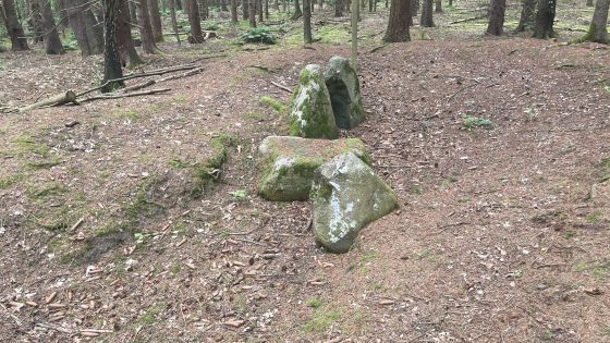 Everstorfer Forst Süd 5 (Dolmen / Quoit / Cromlech)