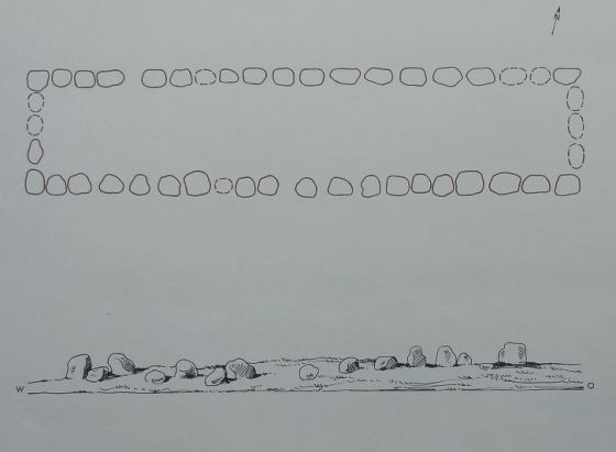 Everstorfer Forst Nord 1 (Dolmen / Quoit / Cromlech)