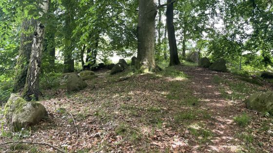 Everstorfer Forst Nord 1 (Dolmen / Quoit / Cromlech)