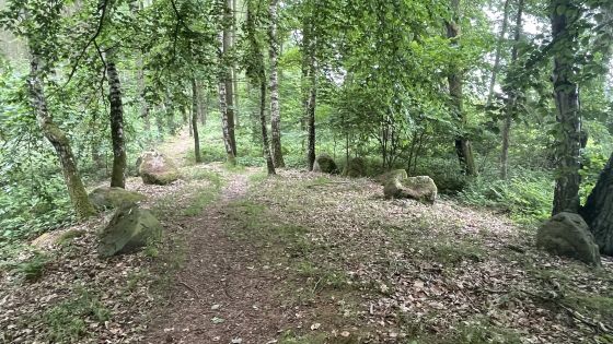 Everstorfer Forst Nord 1 (Dolmen / Quoit / Cromlech)