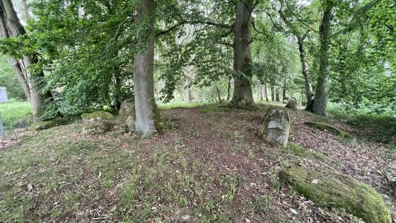 Everstorfer Forst Nord 1 (Dolmen / Quoit / Cromlech)