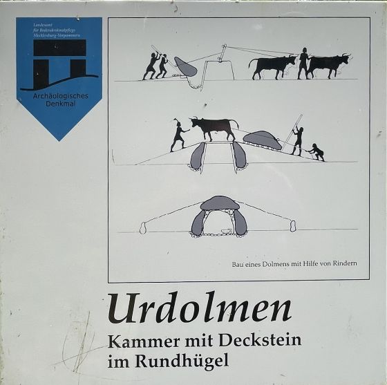 Everstorfer Forst Nord 2 (Dolmen / Quoit / Cromlech)