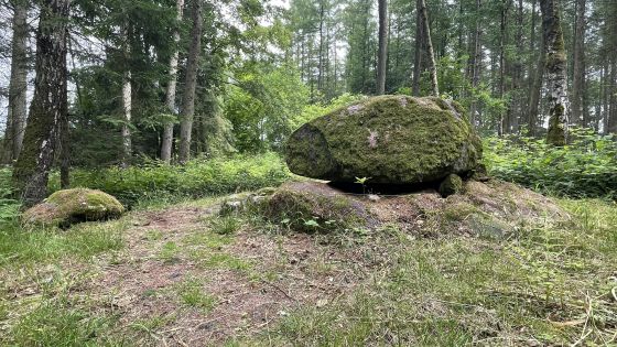 Everstorfer Forst Nord 2 (Dolmen / Quoit / Cromlech)