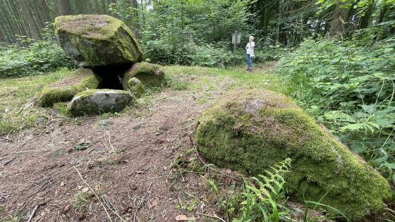 Everstorfer Forst Nord 2 (Dolmen / Quoit / Cromlech)