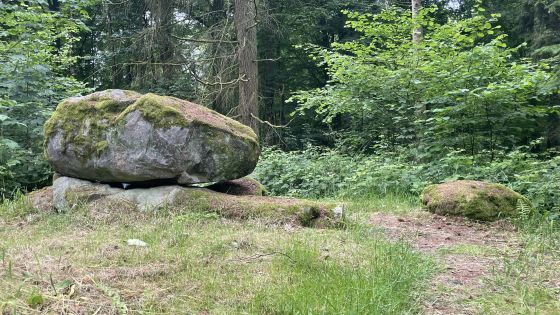 Everstorfer Forst Nord 2 (Dolmen / Quoit / Cromlech)