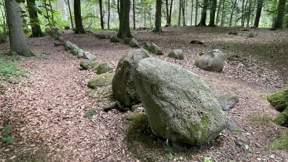 Everstorfer Forst Nord 3 (Dolmen / Quoit / Cromlech)