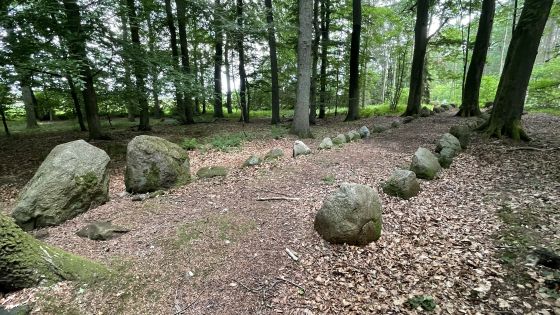 Everstorfer Forst Nord 3 (Dolmen / Quoit / Cromlech)