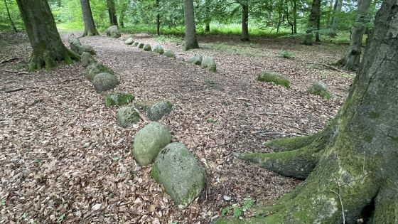 Everstorfer Forst Nord 3 (Dolmen / Quoit / Cromlech)
