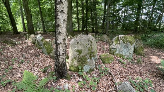 Everstorfer Forst Nord 3 (Dolmen / Quoit / Cromlech)