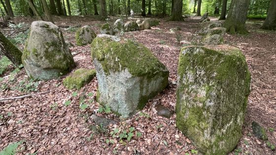 Everstorfer Forst Nord 3 (Dolmen / Quoit / Cromlech)