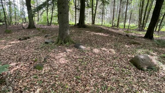 Everstorfer Forst Nord 4 (Dolmen / Quoit / Cromlech)