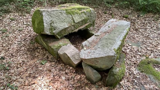 Everstorfer Forst Nord 8 (Dolmen / Quoit / Cromlech)