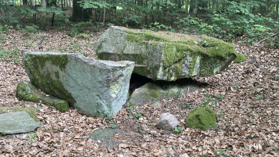 Everstorfer Forst Nord 8 (Dolmen / Quoit / Cromlech)