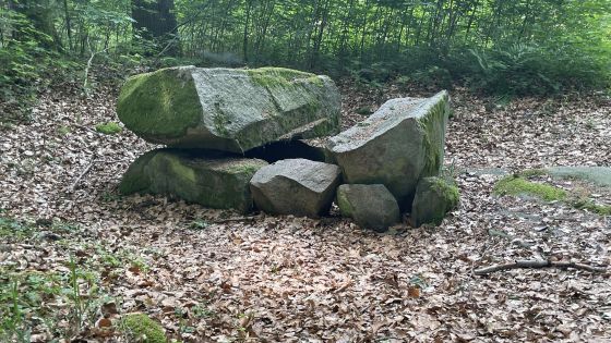 Everstorfer Forst Nord 8 (Dolmen / Quoit / Cromlech)