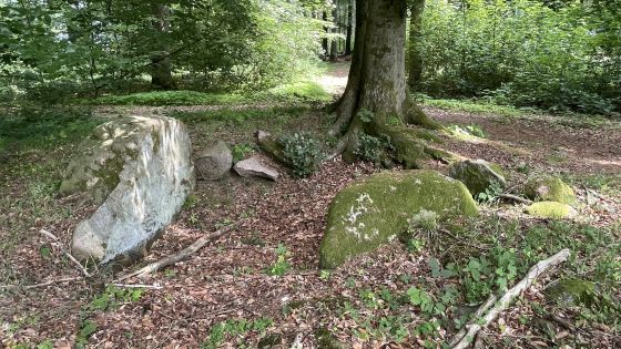 Everstorfer Forst Nord 5 (Dolmen / Quoit / Cromlech)