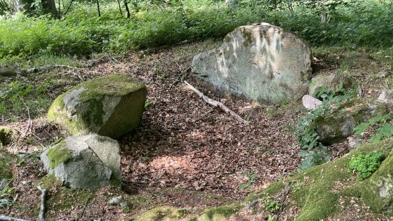 Everstorfer Forst Nord 5 (Dolmen / Quoit / Cromlech)