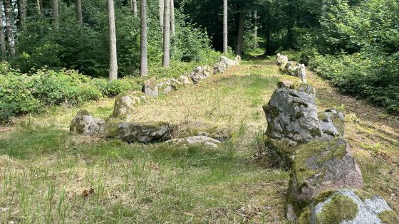 Everstorfer Forst Nord 6 (Dolmen / Quoit / Cromlech)