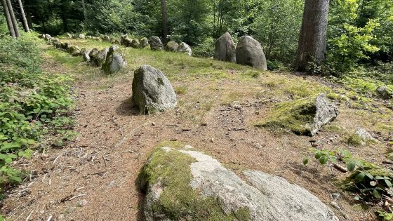 Everstorfer Forst Nord 6 (Dolmen / Quoit / Cromlech)