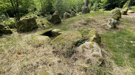 Everstorfer Forst Nord 6 (Dolmen / Quoit / Cromlech)