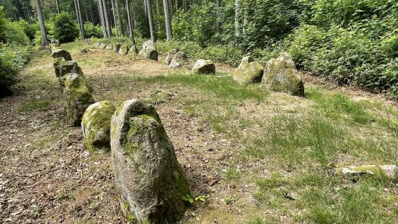 Everstorfer Forst Nord 6 (Dolmen / Quoit / Cromlech)