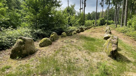 Everstorfer Forst Nord 6 (Dolmen / Quoit / Cromlech)