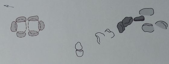 Everstorfer Forst Nord 7 (Dolmen / Quoit / Cromlech)