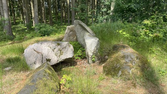 Everstorfer Forst Nord 7 (Dolmen / Quoit / Cromlech)