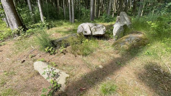 Everstorfer Forst Nord 7 (Dolmen / Quoit / Cromlech)