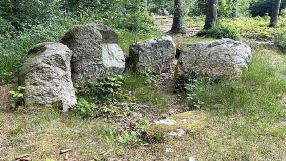 Everstorfer Forst Nord 7 (Dolmen / Quoit / Cromlech)