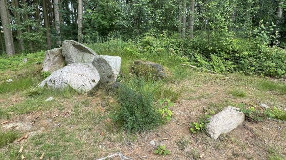 Everstorfer Forst Nord 7 (Dolmen / Quoit / Cromlech)