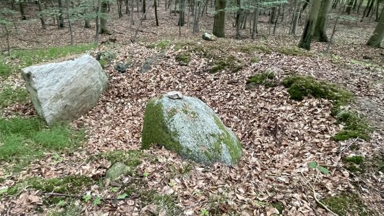 Everstorfer Forst Nord 9 (Dolmen / Quoit / Cromlech)