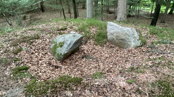 Everstorfer Forst Nord 9 (Dolmen / Quoit / Cromlech)