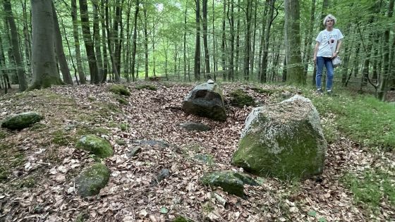 Everstorfer Forst Nord 9 (Dolmen / Quoit / Cromlech)