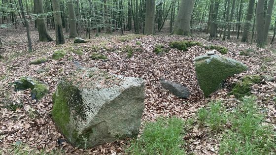 Everstorfer Forst Nord 9 (Dolmen / Quoit / Cromlech)