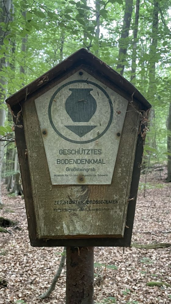 Everstorfer Forst Nord 9 (Dolmen / Quoit / Cromlech)